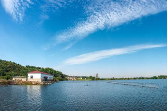 芜湖市三山区村级“小微权力”网络监督平台项目